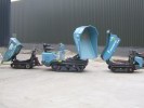 Rupsdumpers